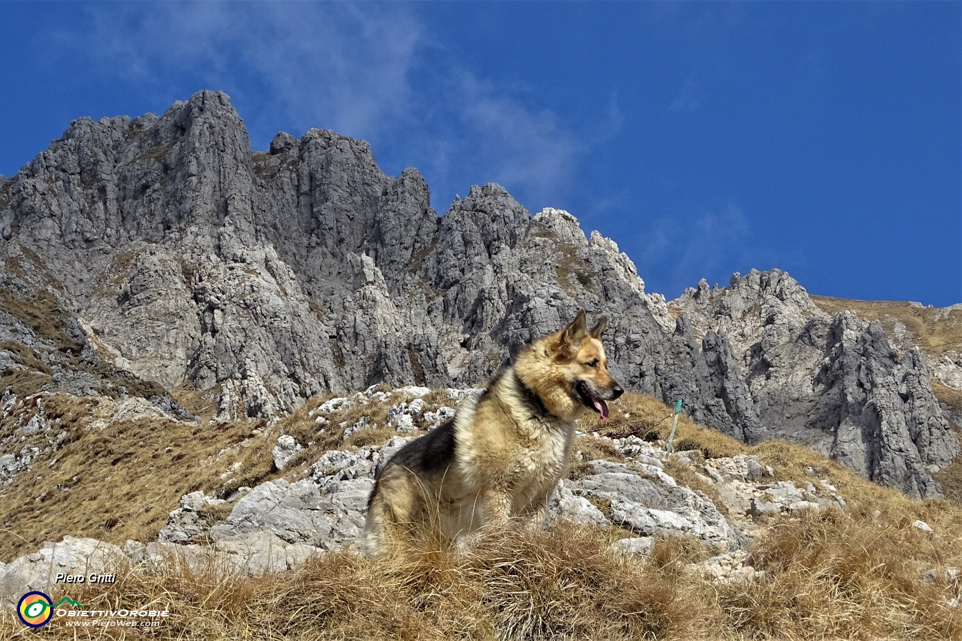 29 Vista verso la cima rocciosa della Grignetta.JPG